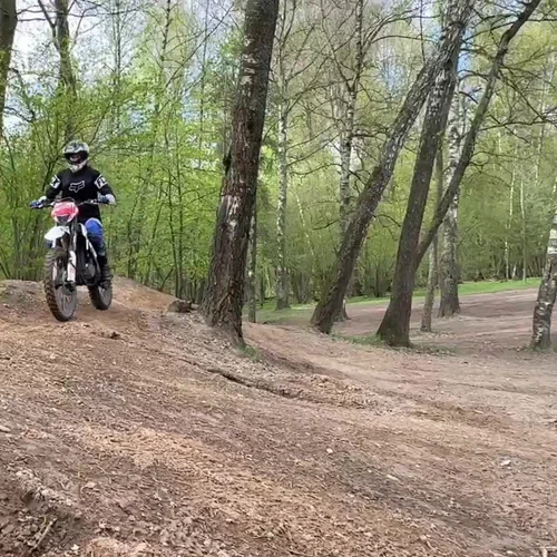 Эндуро на лесной трассе