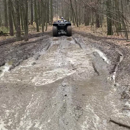 Тренировочный заезд в лесном массиве